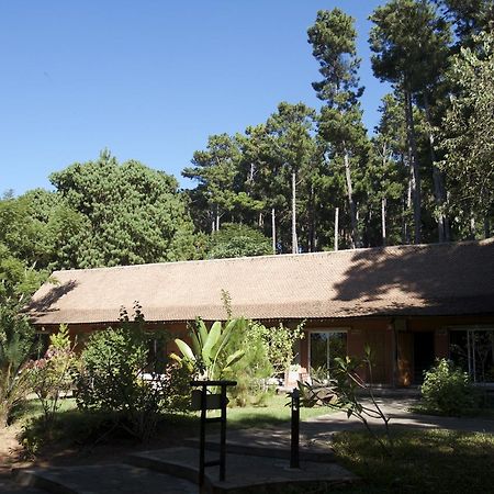 Hotel Lodge Au Bois Vert Antananarivo International Airport Ivato Dış mekan fotoğraf